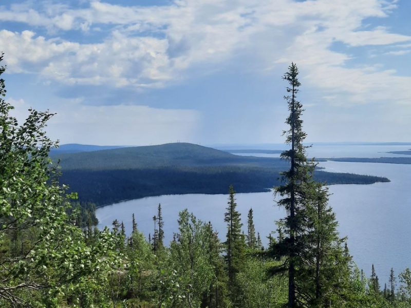 Organization involved in tourism in the Murmansk region